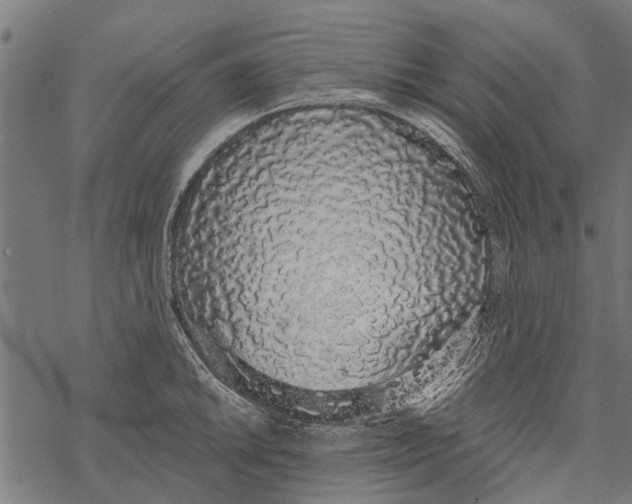 X0000067941046200605041755