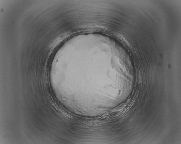 X0000067941071200605041754