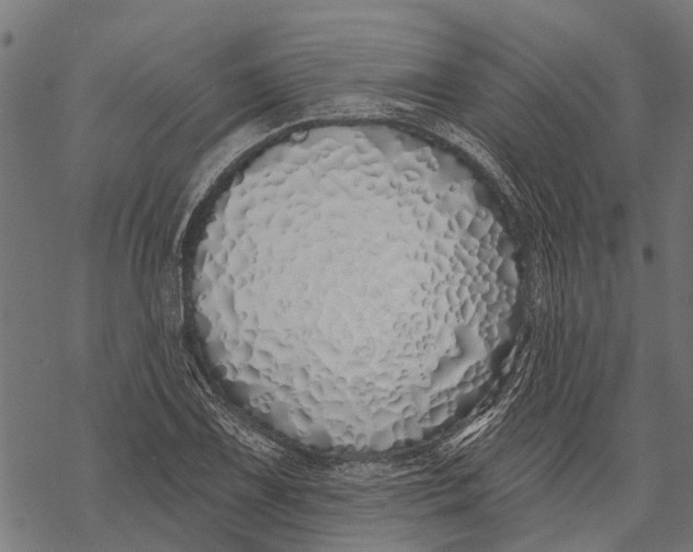 X0000067941075200605041754