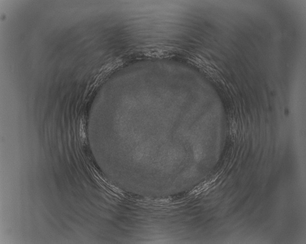 X0000067941106200605041753