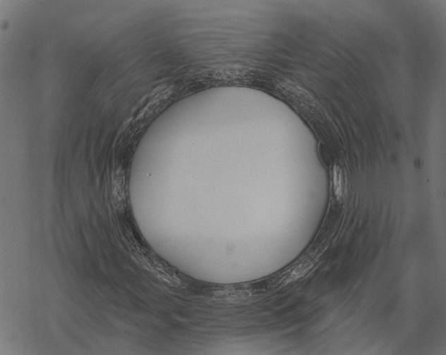 X0000067941107200605041753