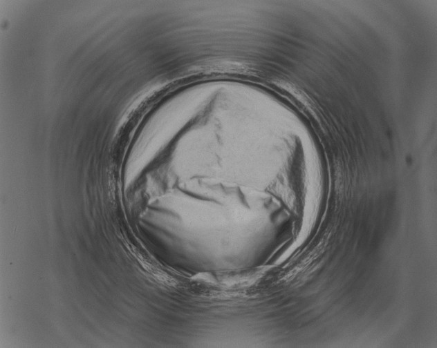 X0000067941115200605041753