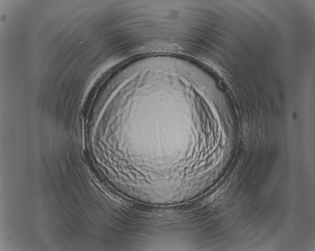 X0000067941123200605041753