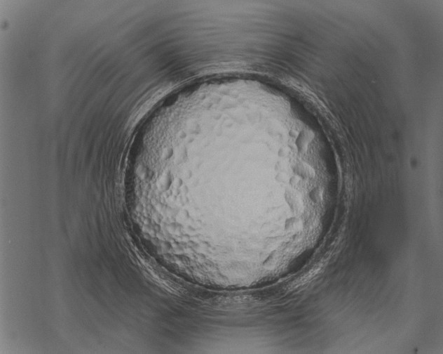 X0000067941129200605041753