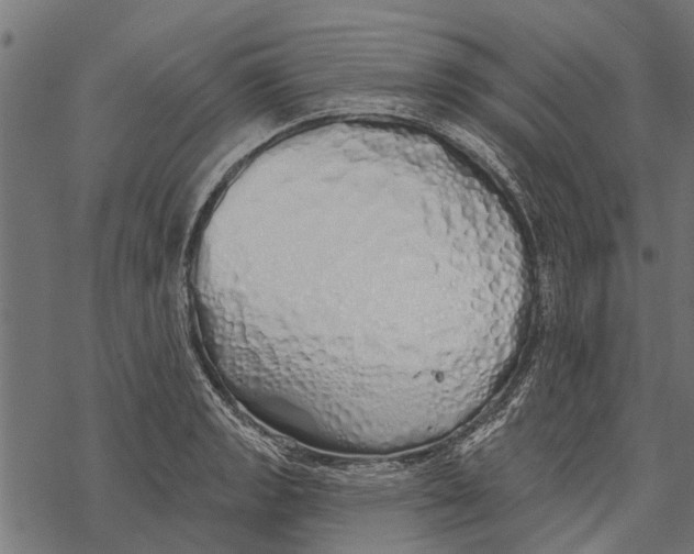 X0000067941133200605041754