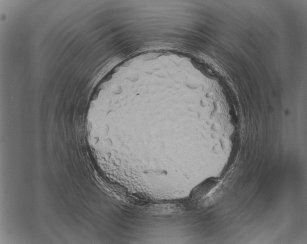 X0000067941137200605041754
