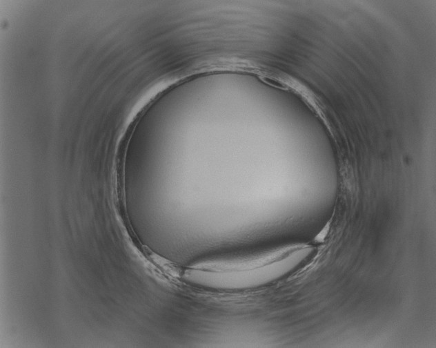 X0000067941147200605041754