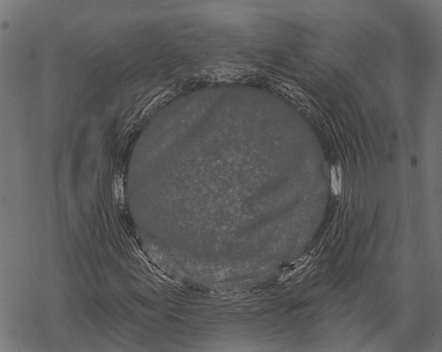 X0000067941155200605041753