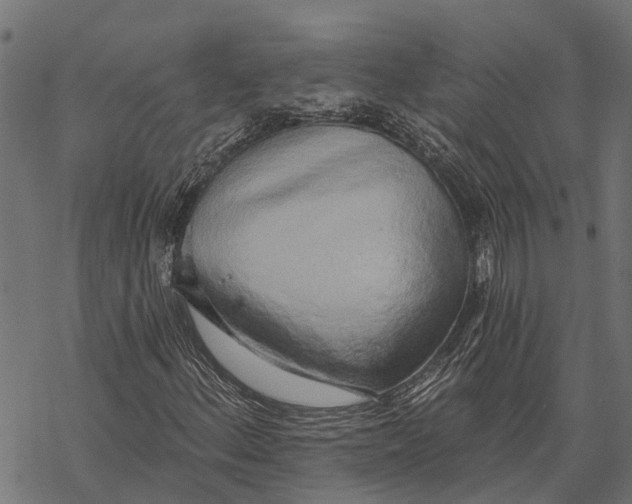 X0000067941156200605041753