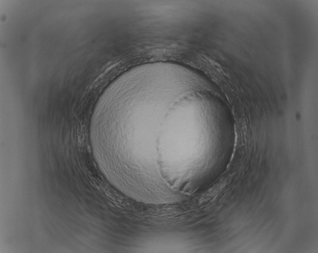 X0000067941158200605041753