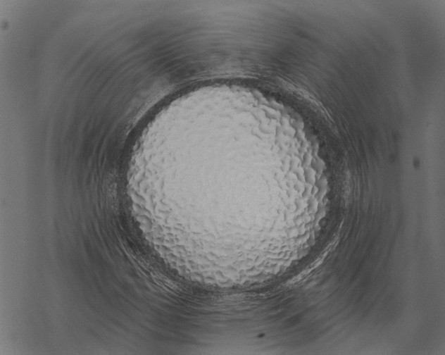 X0000067941162200605041753