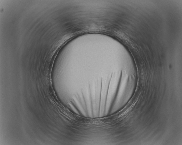 X0000067941170200605041753