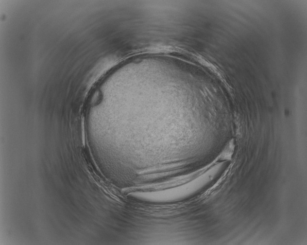 X0000067941171200605041753