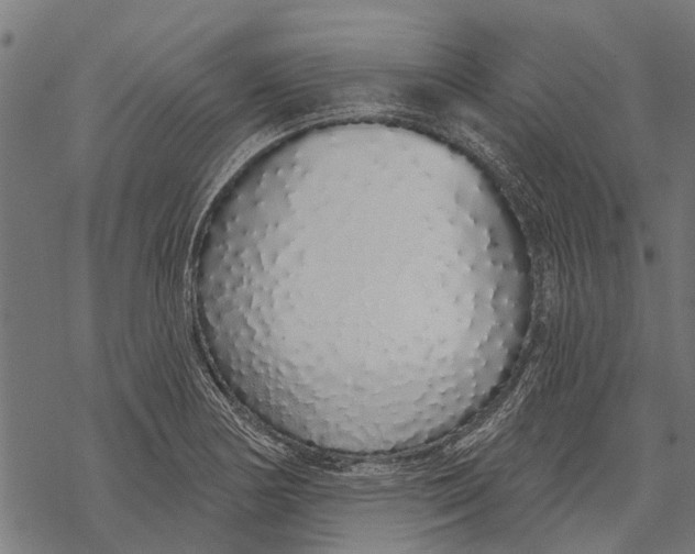 X0000067941178200605041753