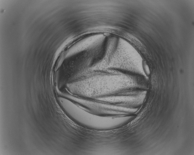 X0000067941180200605041753