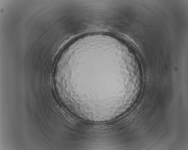 X0000067941220200605041752
