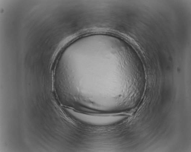 X0000067941223200605041752