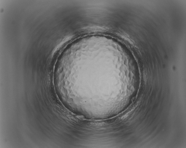X0000067941309200605041750