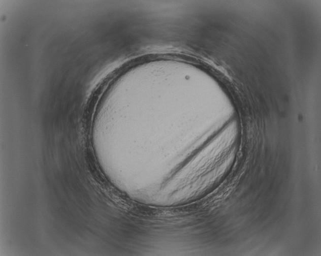 X0000067941311200605041750