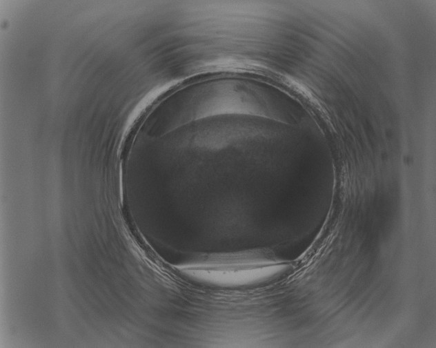 X0000067941323200605041750