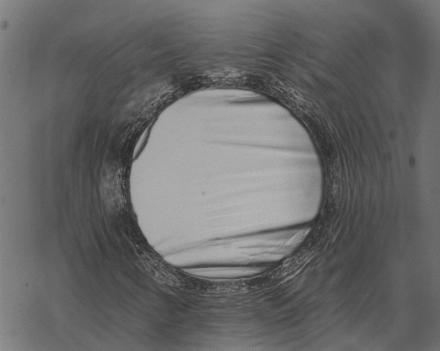 X0000067941346200605041750