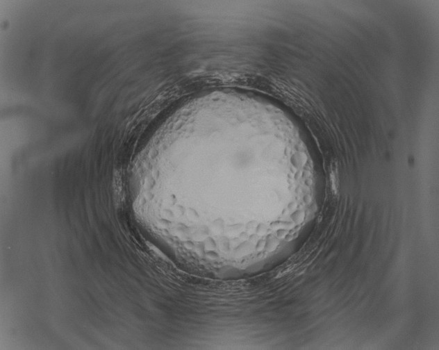 X0000067941347200605041750