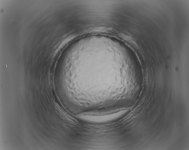 X0000067941404200605041748