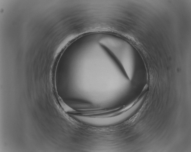 X0000067941422200605041749