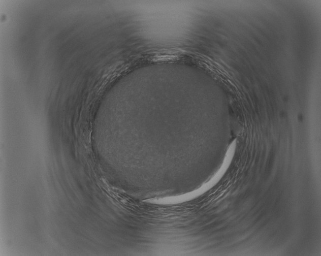X0000067941441200605041748