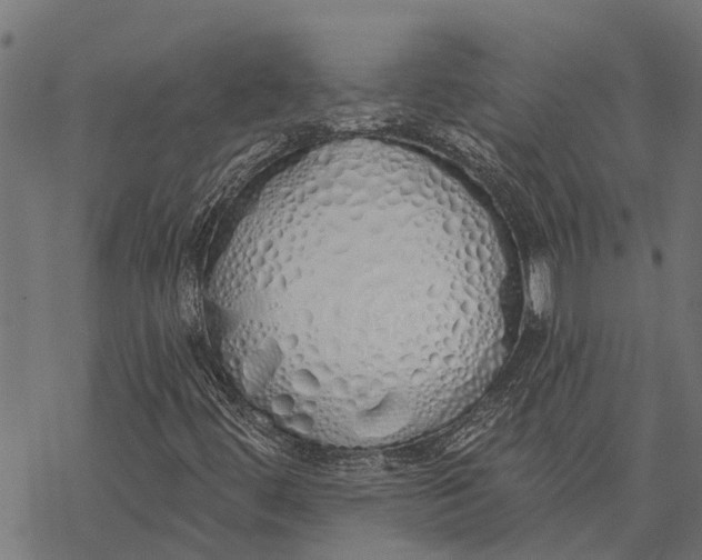 X0000067941444200605041748
