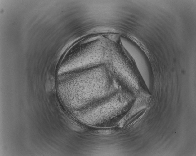 X0000067941465200605041748