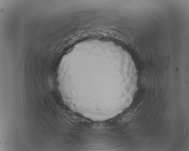 X0000067941490200605041747