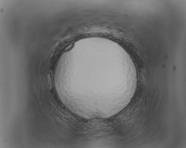 X0000067941493200605041747