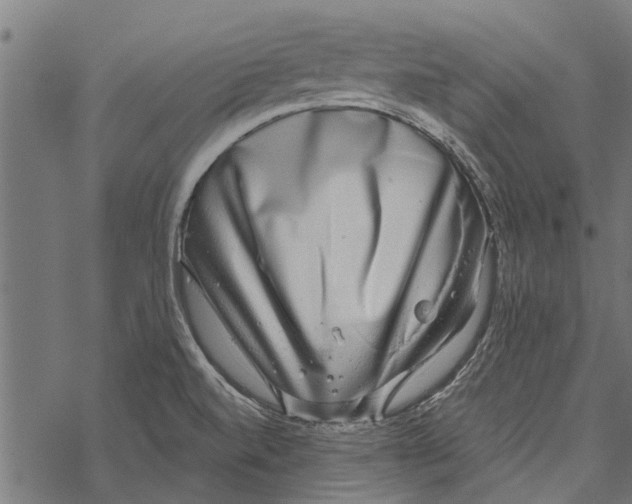 X0000067941520200605041747