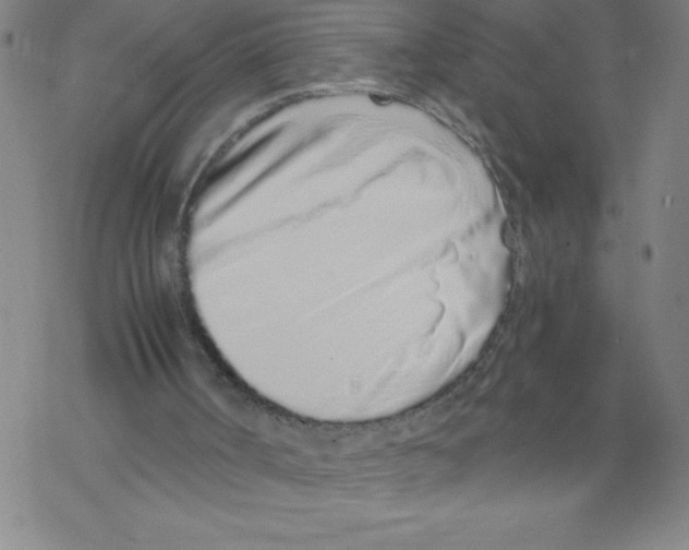 X0000067940002200605112112