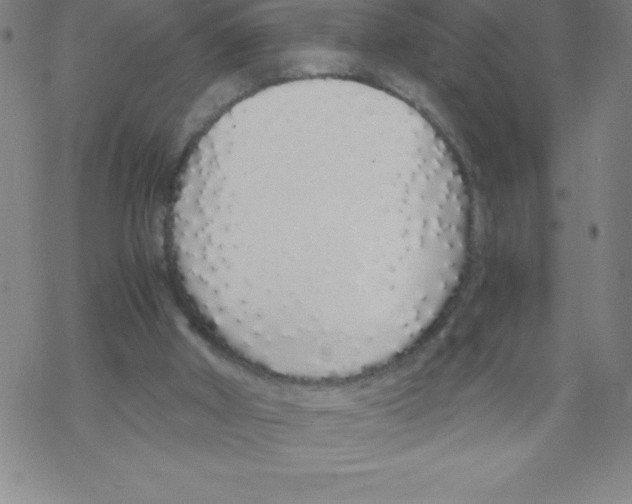 X0000067940010200605112111