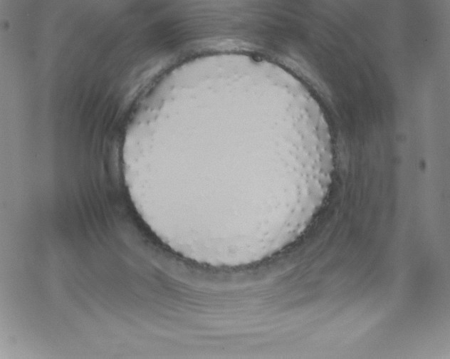 X0000067940014200605112111