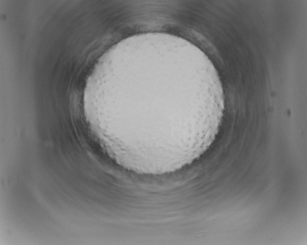 X0000067940026200605112111