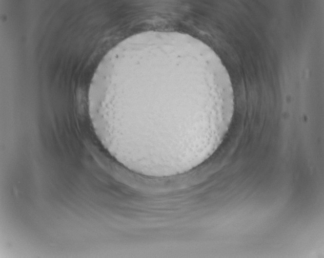 X0000067940038200605112111