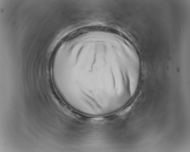 X0000067940055200605112110
