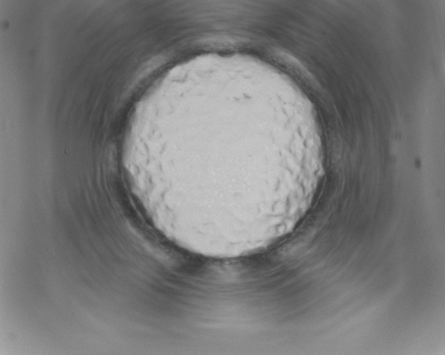 X0000067940071200605112110