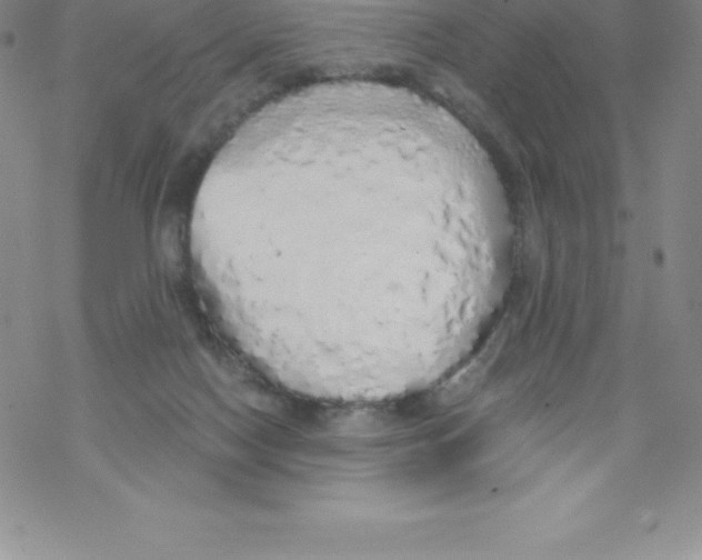 X0000067940074200605112110
