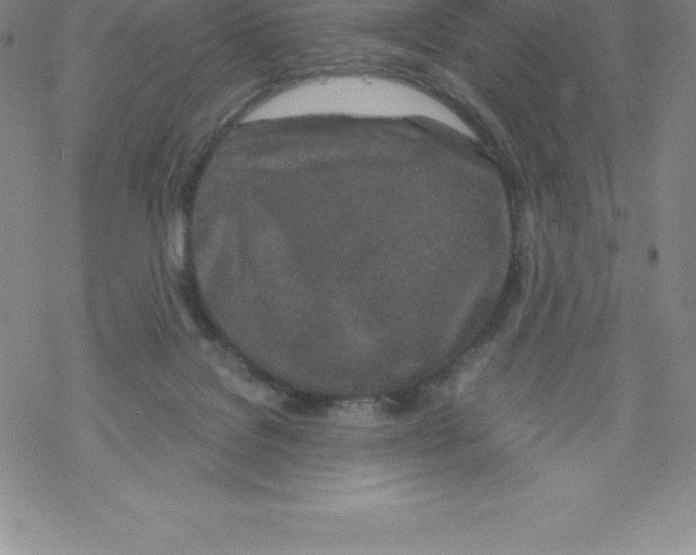 X0000067940076200605112110
