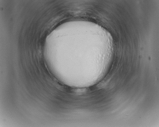 X0000067940085200605112110