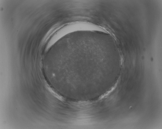 X0000067940101200605112110