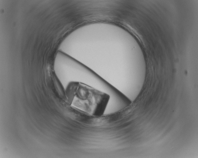 X0000067940117200605112109
