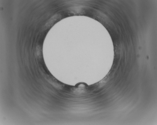 X0000067940132200605112109