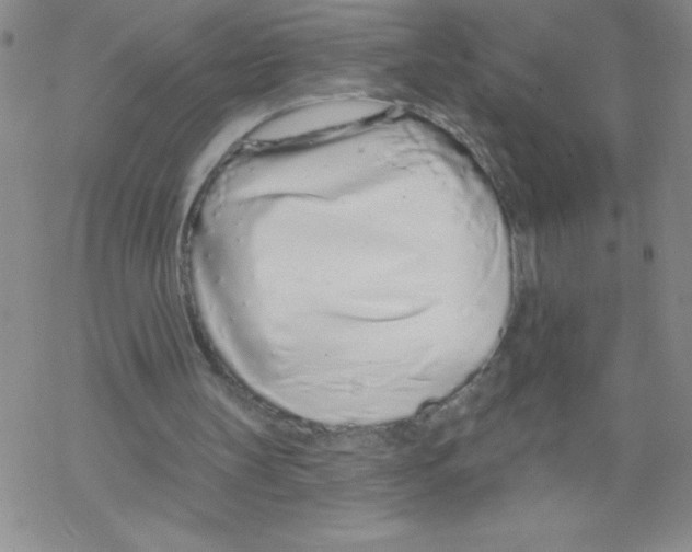 X0000067940147200605112108