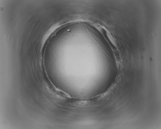 X0000067940152200605112108