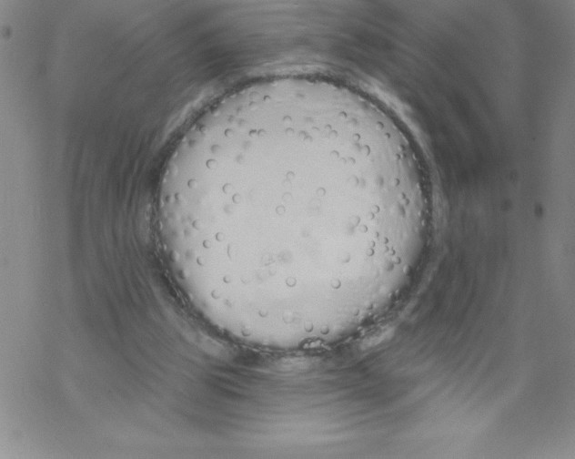 X0000067940153200605112108